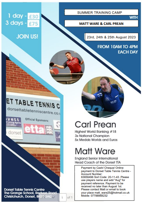 Table Tennis Camp